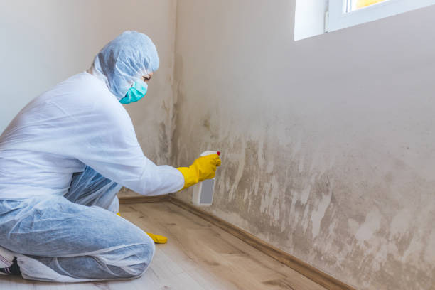 Hvac And Air Duct Mold Remediation inspection of HVAC system in Locust Hill